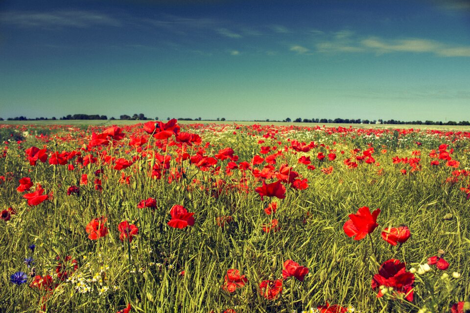 Red sky blue