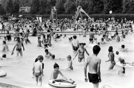 Mooi weer, drukte in Sloterparkbad, Bestanddeelnr 932-1977