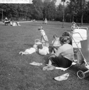 Mooi weer in het Vondelpark, Bestanddeelnr 911-5956