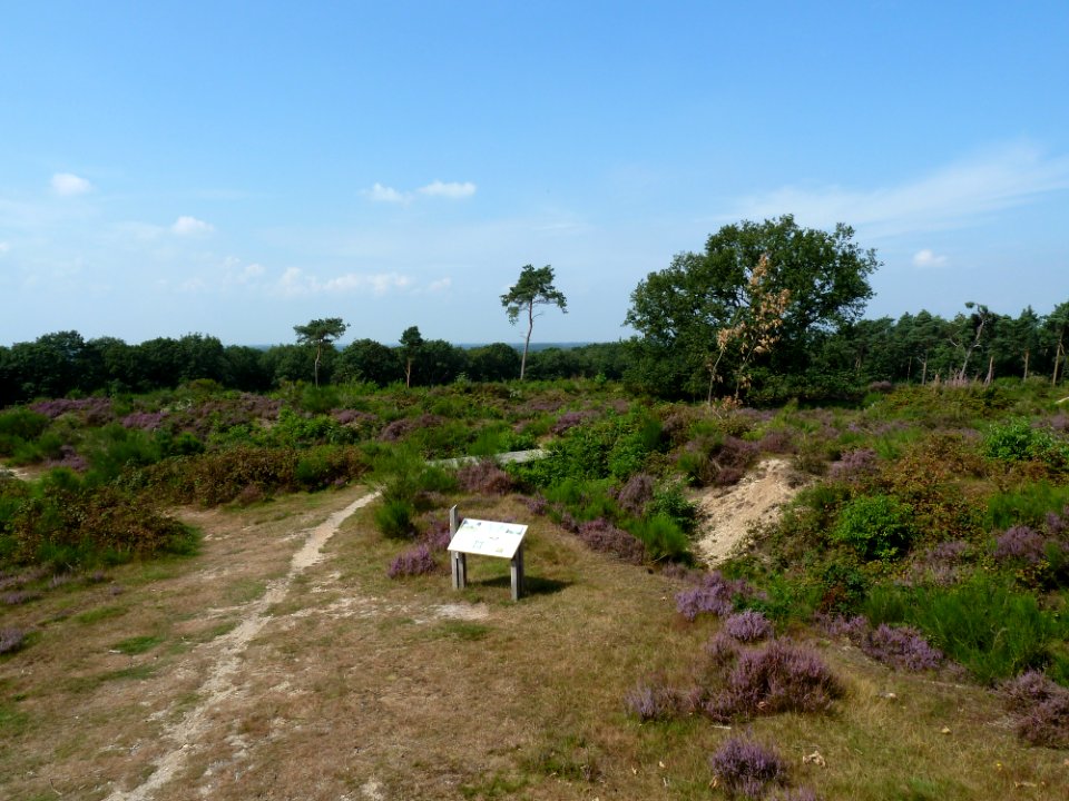 Mook-Mookerschans (5)