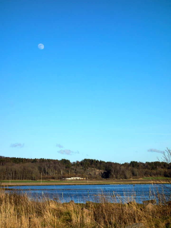 Moon over Norrkila inner bay 1