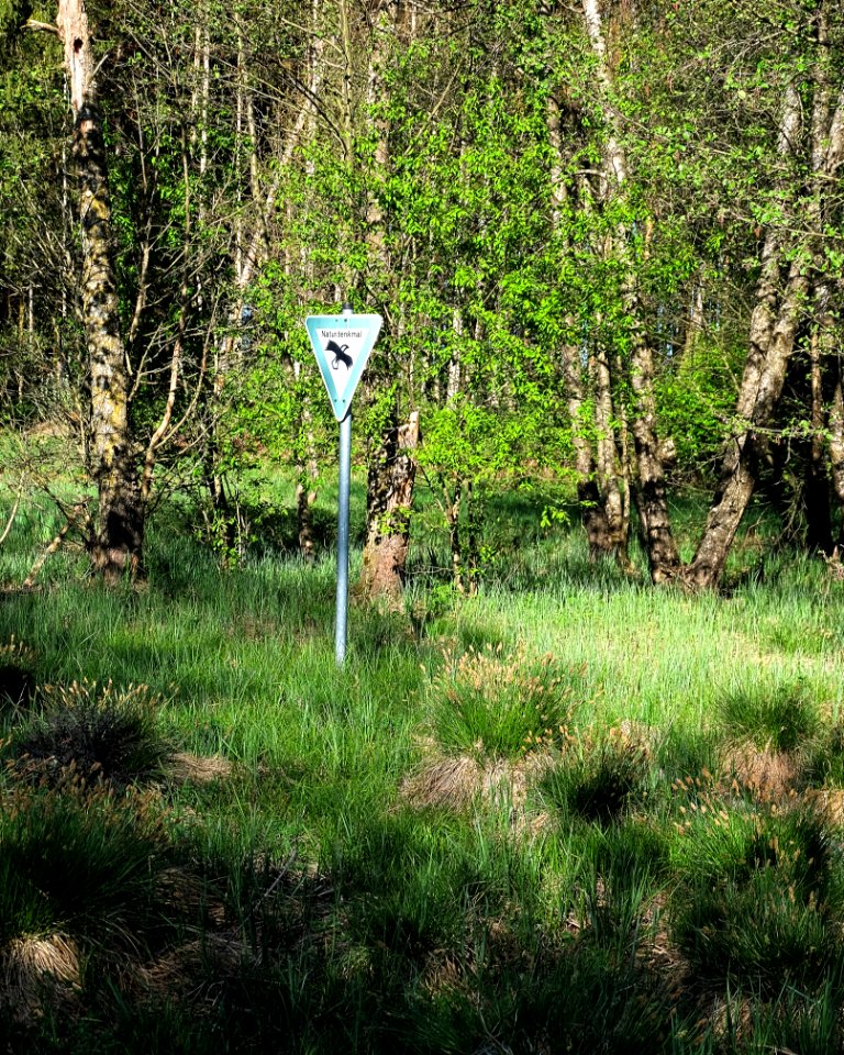 Moor bei Egerer 03