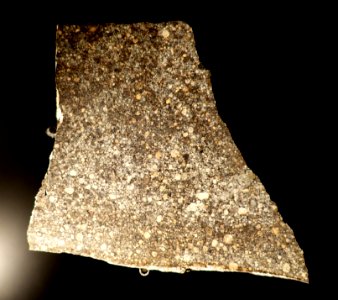 Moorabie, Gewohnlicher Chondrit (L3), fallen before 1965 in Australia - meteorites - Museum fur Naturkunde, Berlin - DSC00113