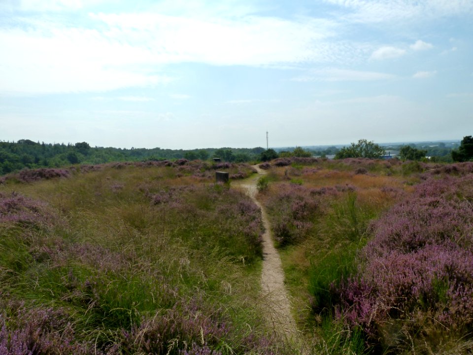 Mook-Heumense schans (7)