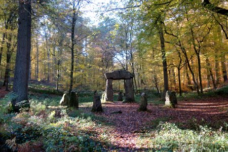 Monument Aux Forestiers Uccle 08