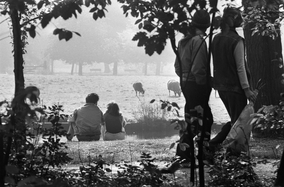 Mooi herfstweer Vondelpark, Bestanddeelnr 933-7764