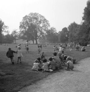 Mooi weer in het Vondelpark, Bestanddeelnr 911-5960