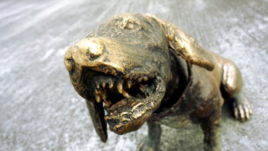 Monumento de los colonizadores in Manizales, dog