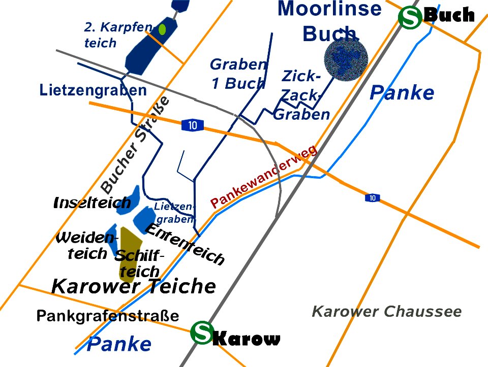 Moorlinse-Zickzack