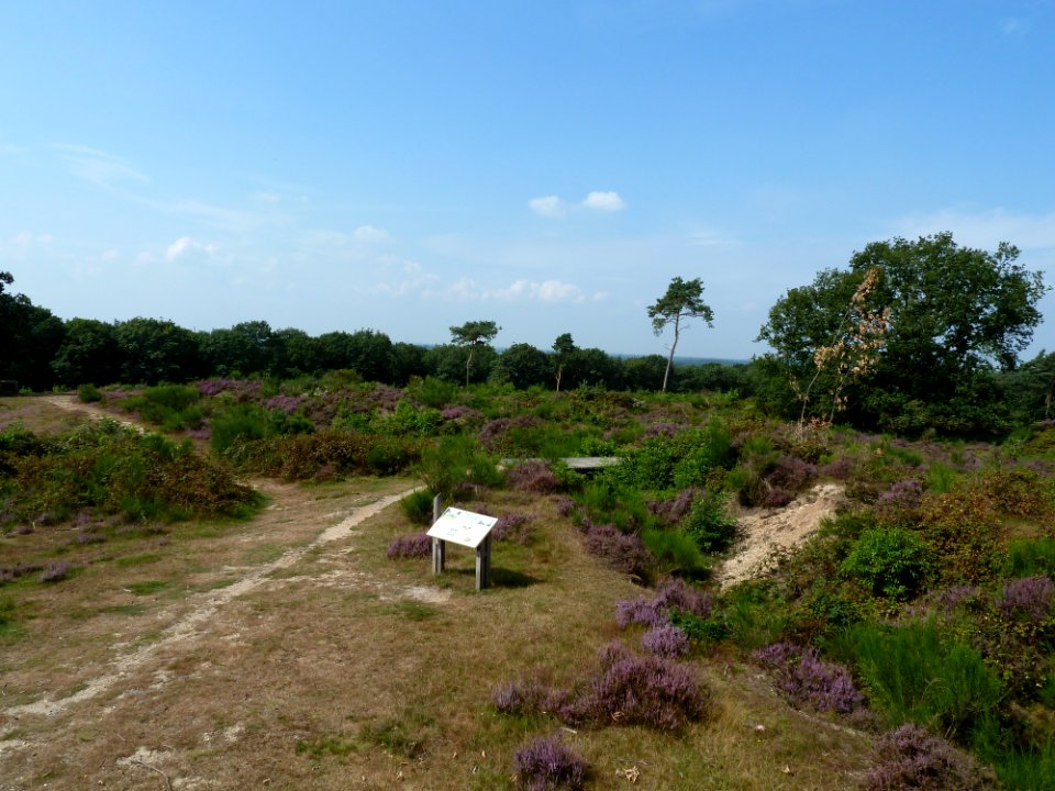 Mook-Mookerschans (2)