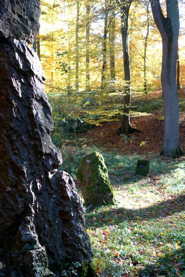 Monument Aux Forestiers Uccle 09