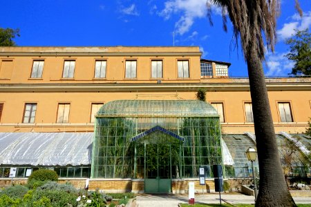 Monumental Greenhouse, 1887 - Orto botanico - Rome, Italy - DSC09900