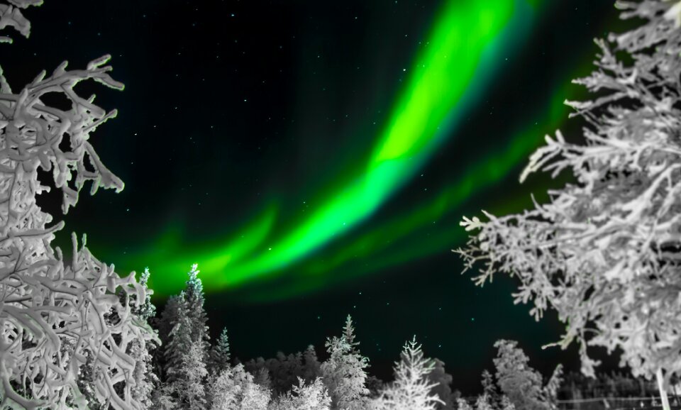 Night landscape nature