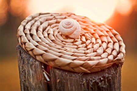 Nature sunrise spiral