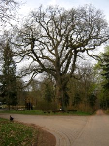 Morshausen01