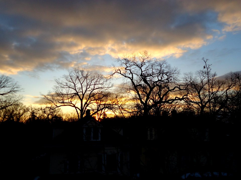 Morning sky Summit NJ houses and gray clouds and bare trees