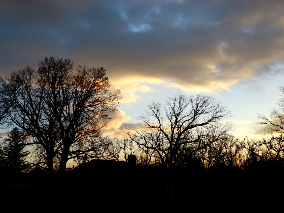Morning sky looking east at houses and trees in Summit NJ