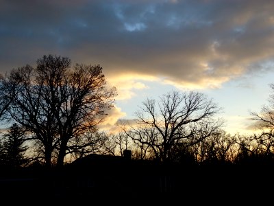 Morning sky looking east at houses and trees in Summit NJ
