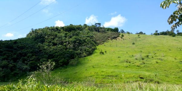 Morro no norte de Pindamonhangaba 1