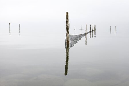 Nets still reflection