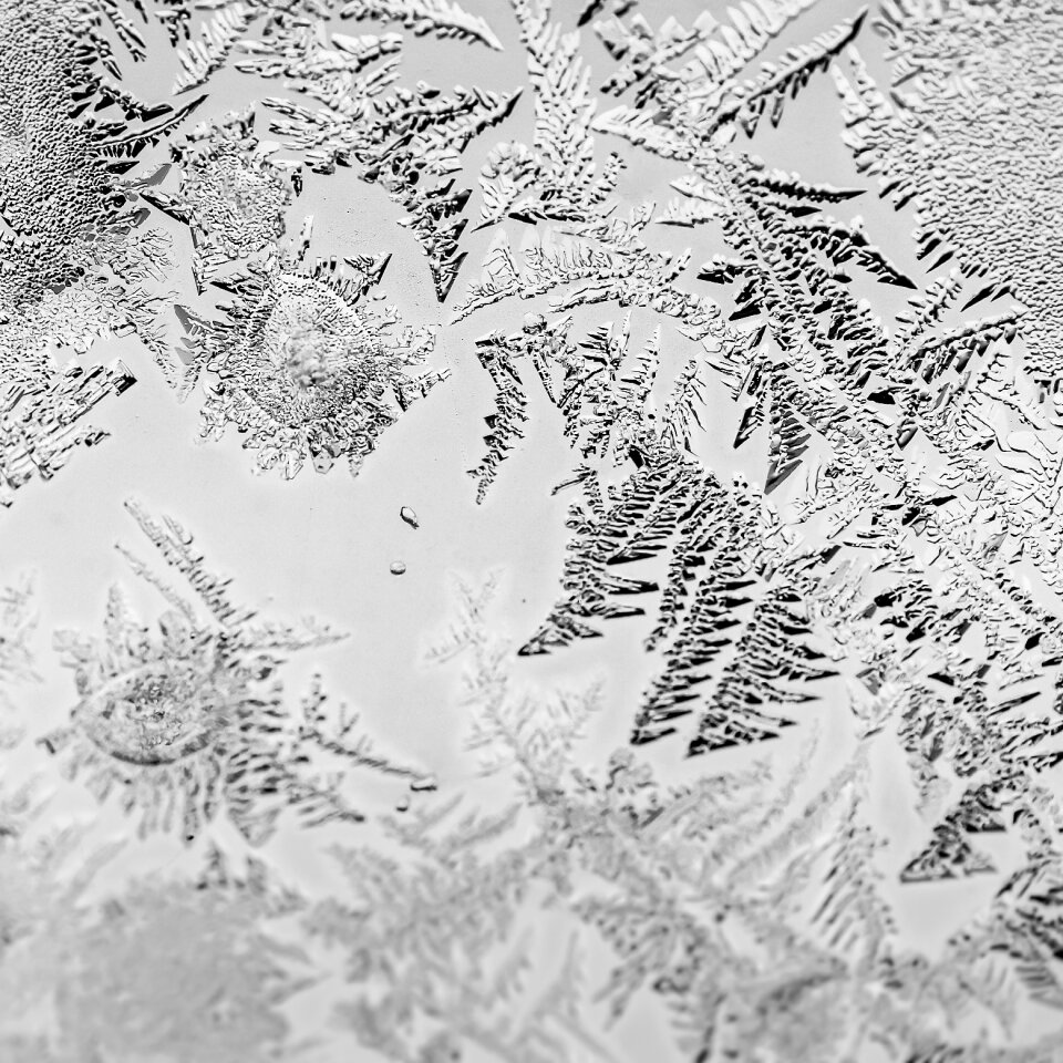 Macro photography winter gray photography