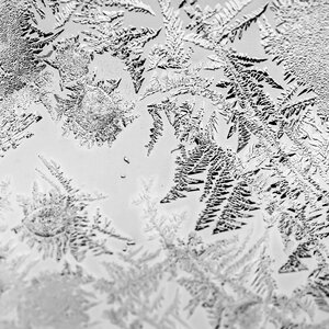 Macro photography winter gray photography