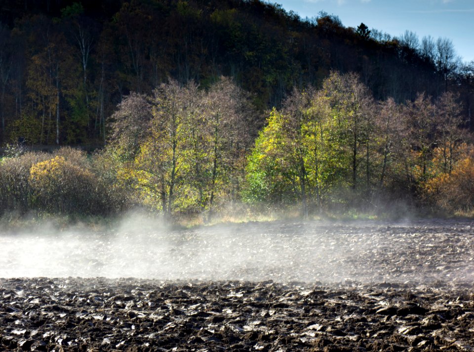 Morning mist lifting from plowed field 5