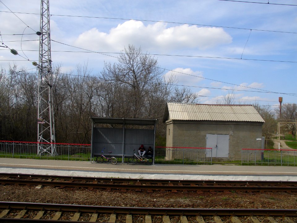 Morskaya station shed