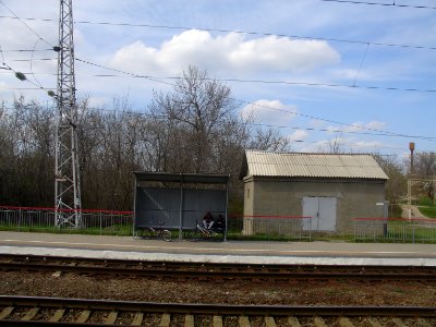 Morskaya station shed