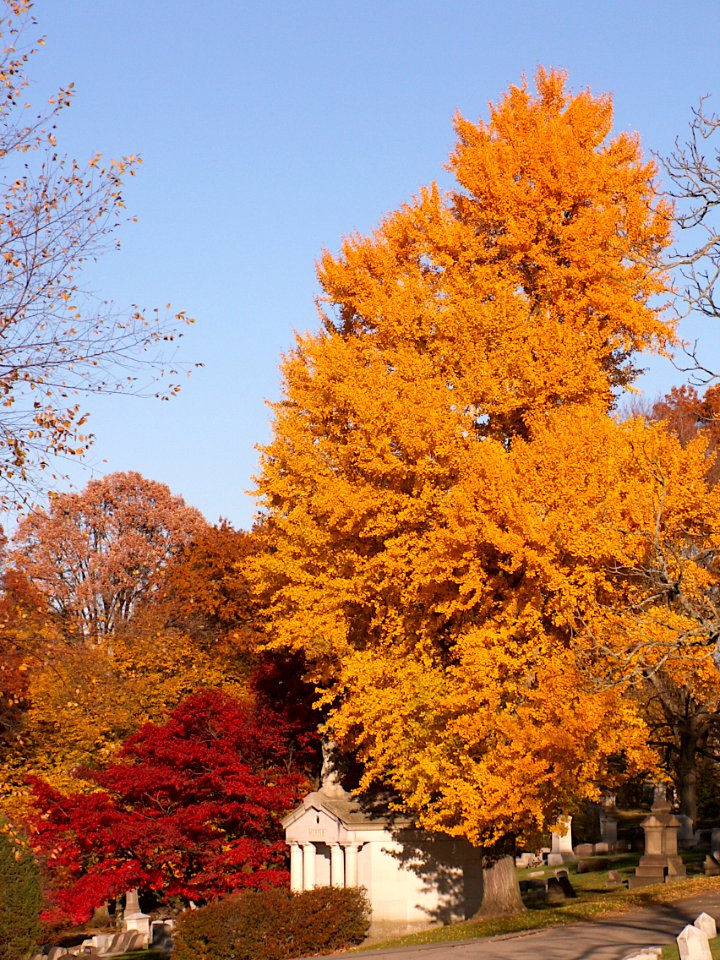 Morris mausoleum, Homewood Cemetery, 2020-11-08, 01