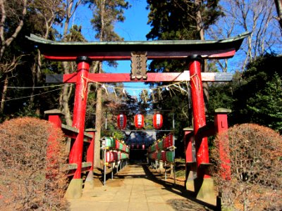 Moro-jinja (Nagareyama) ninotorii