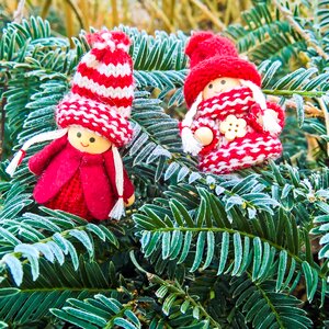 Imp warm packed christmas