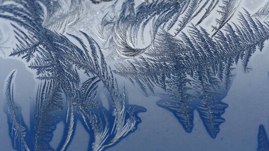Winter ice crystals photo