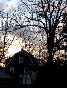 Morning sunrise house and tree in Summit NJ
