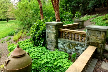 Morris Arboretum - DSC00536
