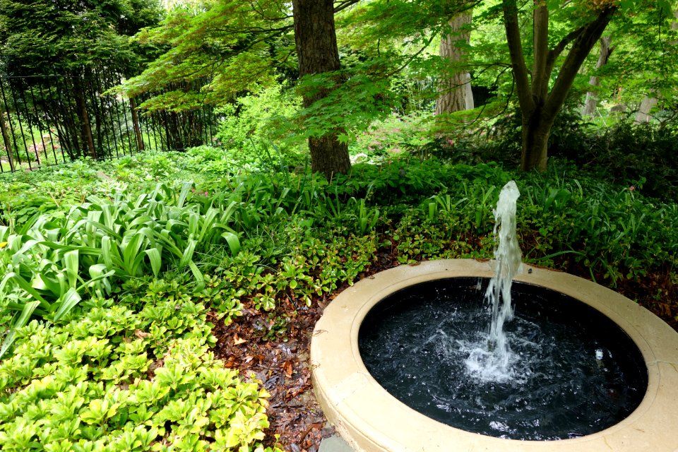 Morris Arboretum - DSC00331