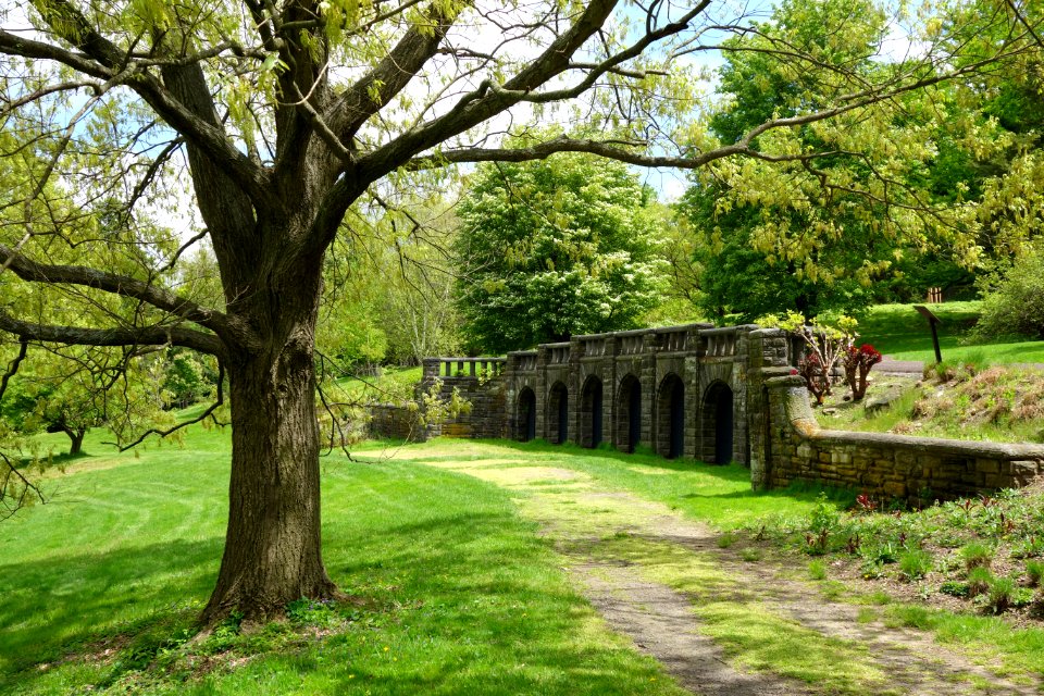 Morris Arboretum - DSC00336