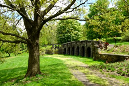 Morris Arboretum - DSC00336 photo