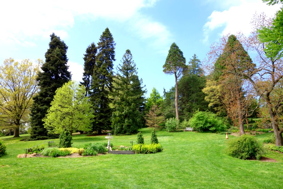 Morris Arboretum - DSC00525