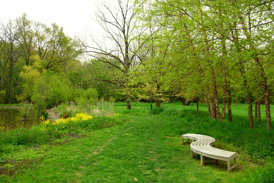 Morris Arboretum - DSC00151