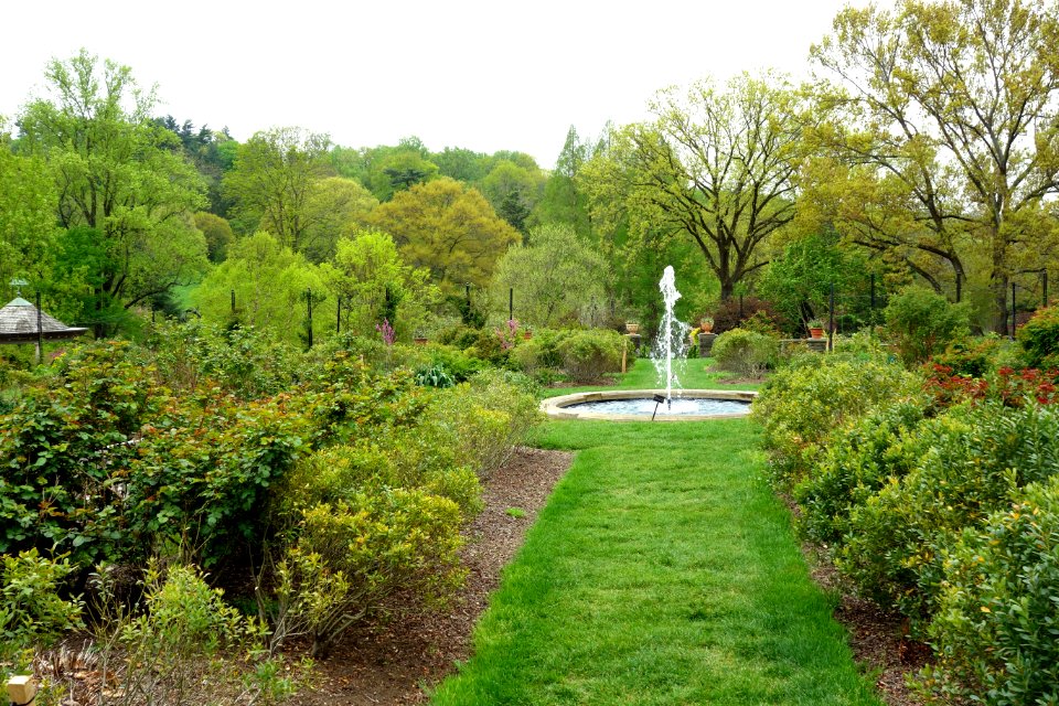 Morris Arboretum - DSC00231