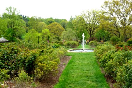 Morris Arboretum - DSC00231 photo
