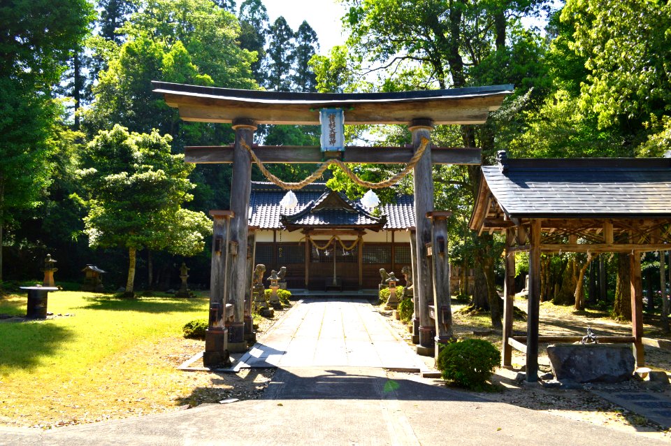 Morosugi-jinja torii