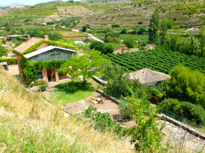 Moreda de Álava 08