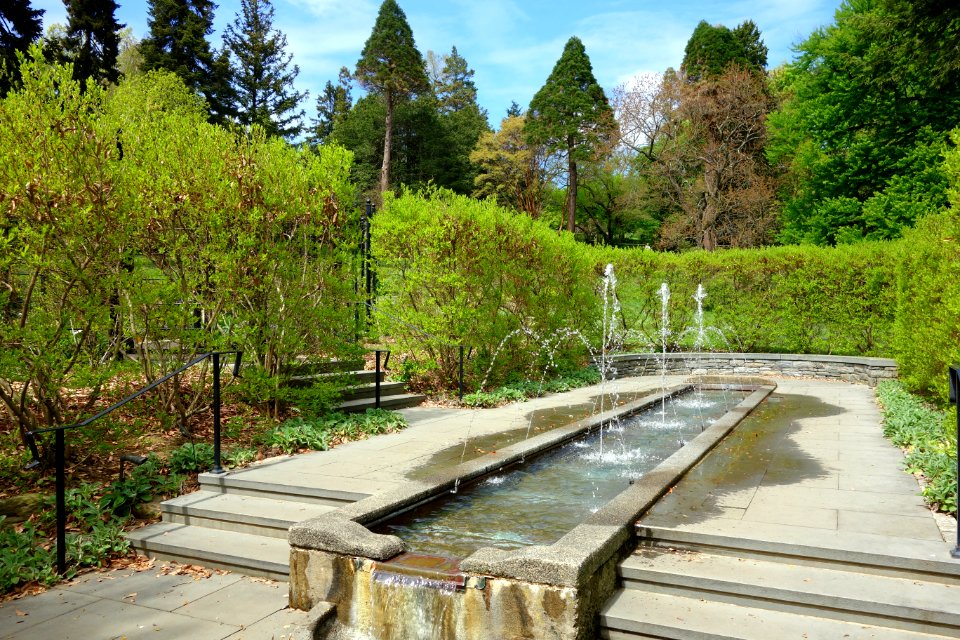 Morris Arboretum - DSC00527