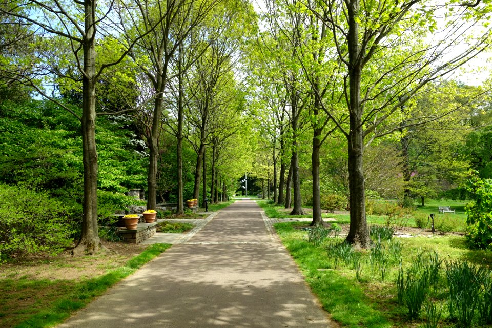 Morris Arboretum - DSC00515
