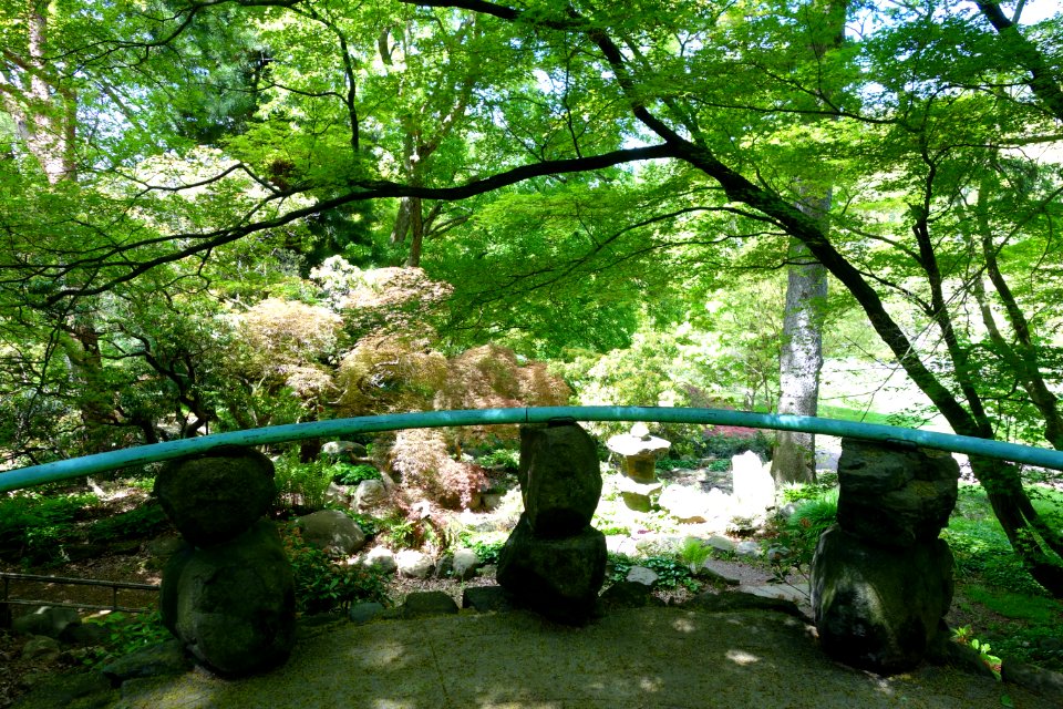 Morris Arboretum - DSC00429