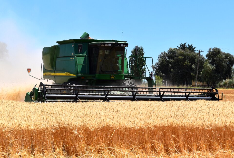 Cereal threshing combine harvester
