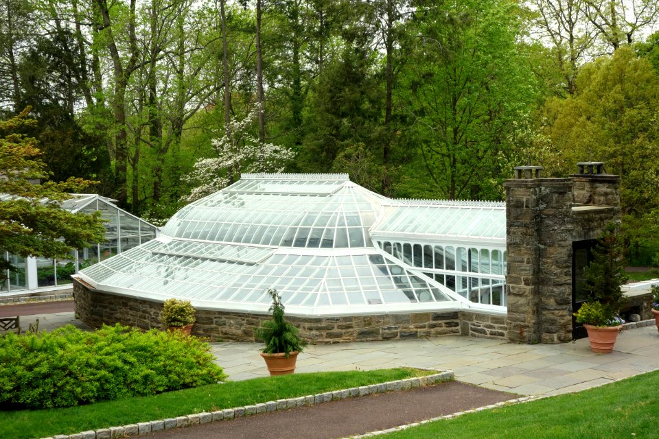 Morris Arboretum - DSC00208