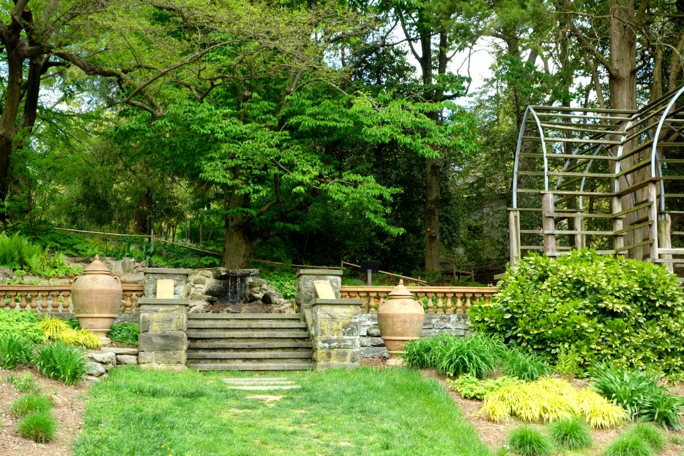 Morris Arboretum - DSC00532